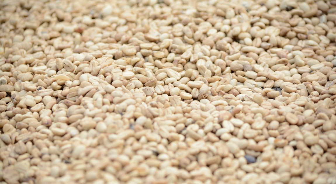 伝統製法と最新技術でごま油を製造する、かどや製油の事業内容を表す大量のゴマのクローズアップ画像